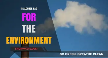 Alcohol's Environmental Impact: Uncovering the Hidden Costs of Your Drink
