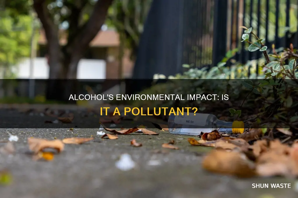 is alcohol considered a pollutant