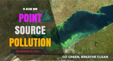 Algae Pollution: Non-Point Source Contamination Explained