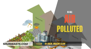 Air Quality Alert: Is Any Air Truly Clean?