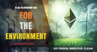 Blockchain's Environmental Impact: Separating Myths from Sustainable Solutions