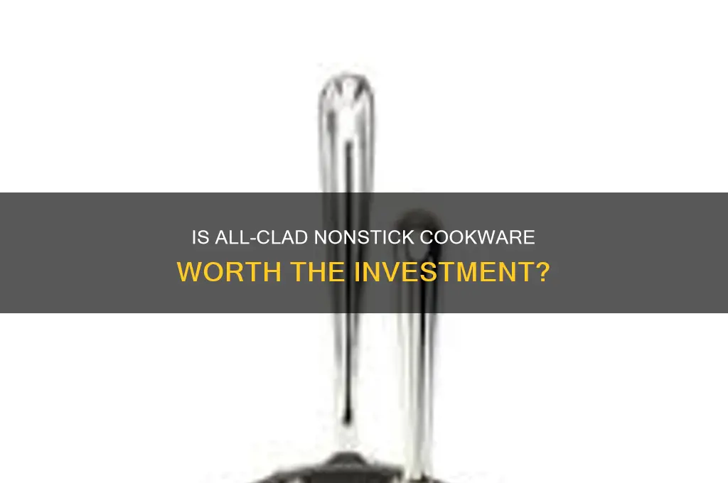 is all-clad nonstick a waste of money cookware skillets
