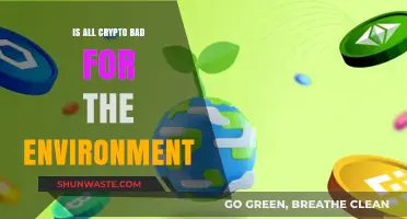 Is Crypto Eco-Friendly? Debunking Environmental Myths and Realities