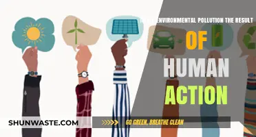 Human-Caused Pollution: How Responsible Are We?