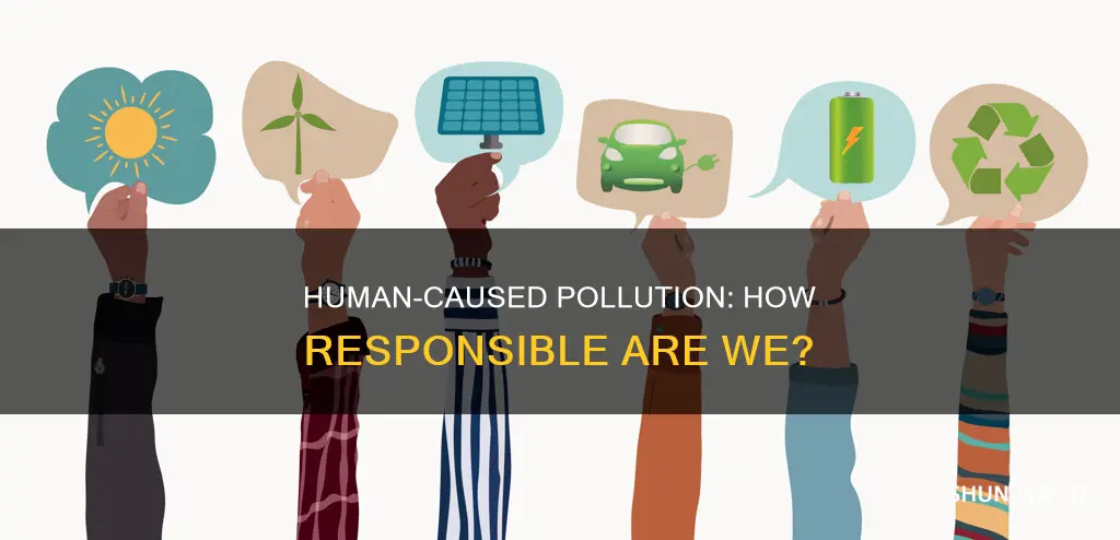 is all environmental pollution the result of human action