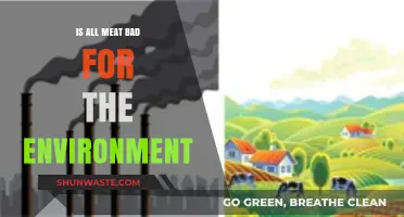 Is Meat Always Eco-Unfriendly? Debunking Environmental Impact Myths