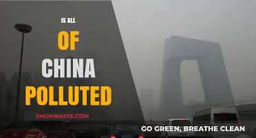 China's Pollution: Is the Entire Country Affected?