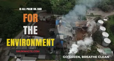 Is Palm Oil Always Harmful? Uncovering Environmental Impacts and Solutions