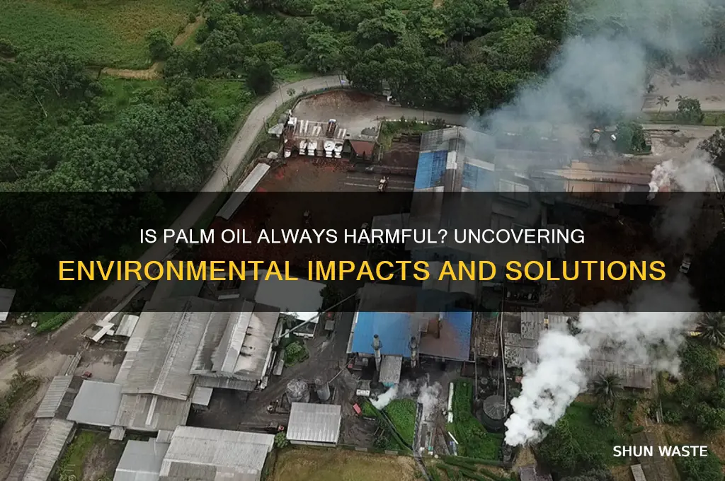 is all palm oil bad for the environment