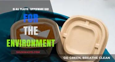 Is Plastic Tupperware Harming Our Planet? An Environmental Analysis