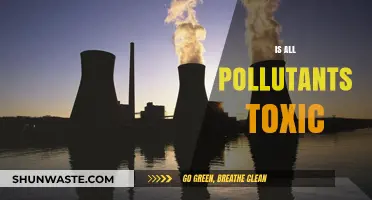 Understanding Pollutants: Are They All Toxic?