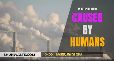 Human Impact: Unraveling the Complex Web of Pollution