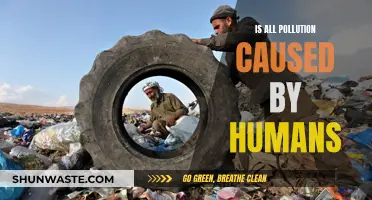 Humanity's Impact: Are We Solely Responsible for Pollution?