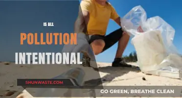 The Pollution Paradox: Intentional Ignorance?