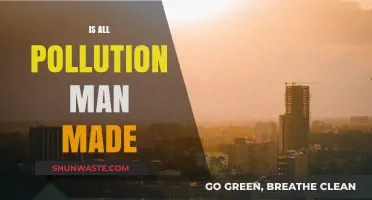 Human Impact: The Pollution Conundrum