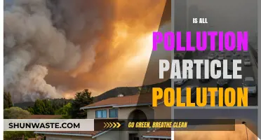 What is Particle Pollution and How Does it Affect Us?