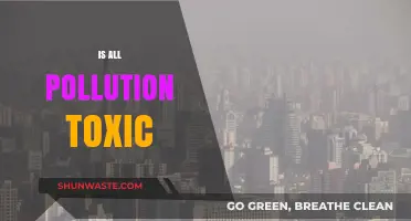 Understanding Pollution: Toxicity and Its Shades