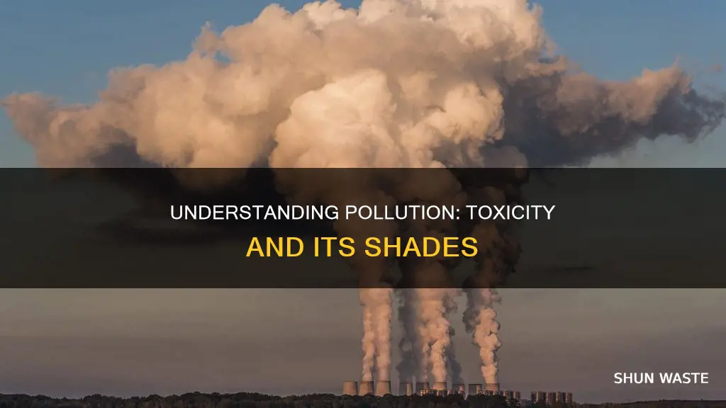 is all pollution toxic