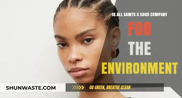 Is All Saints Eco-Friendly? Evaluating Their Environmental Impact and Practices