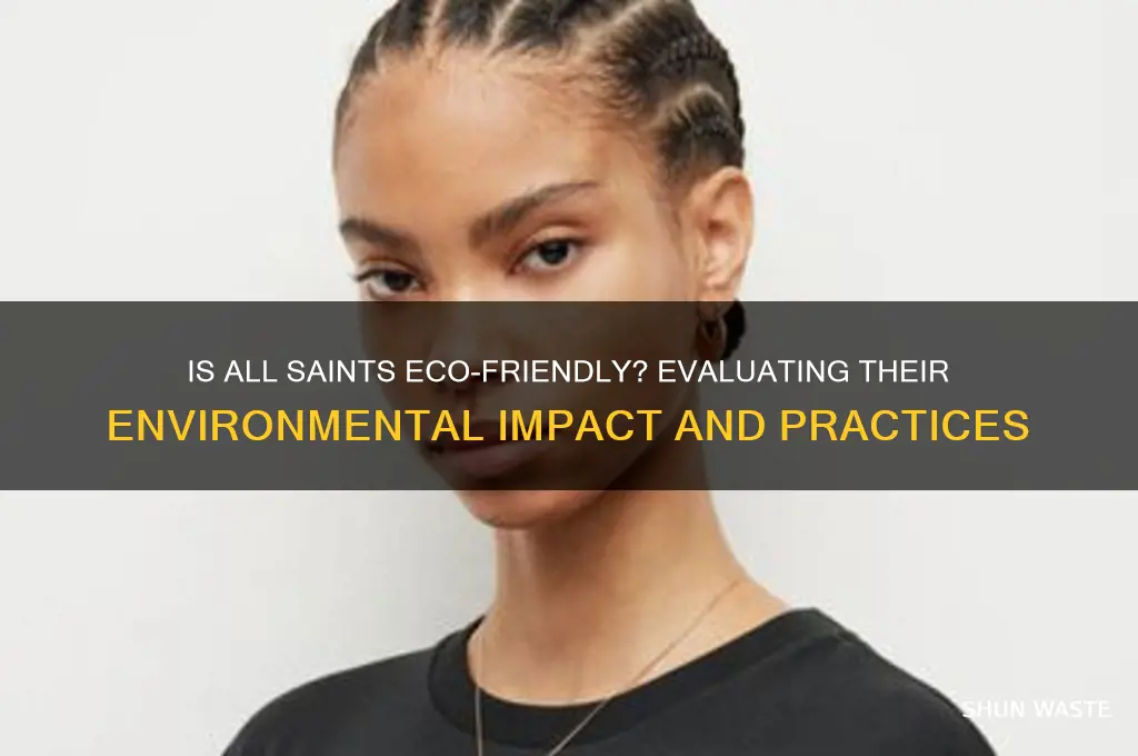 is all saints a good company for the environment