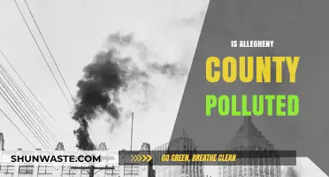 Allegheny County's Pollution Problem: A Troubling Reality