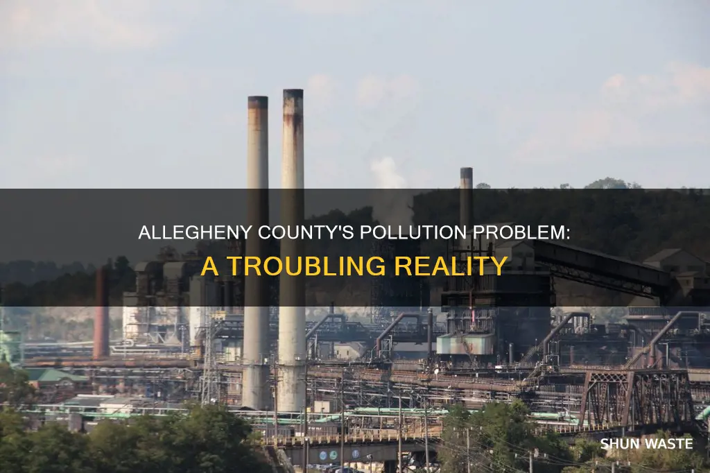 is allegheny county polluted