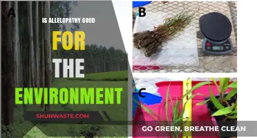 Allelopathy's Environmental Impact: Benefits, Challenges, and Ecosystem Balance Explored