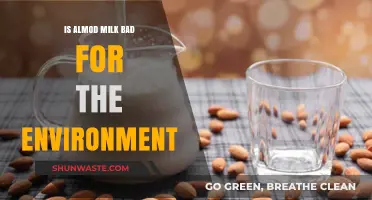 Is Almond Milk Eco-Friendly? Uncovering Its Environmental Impact