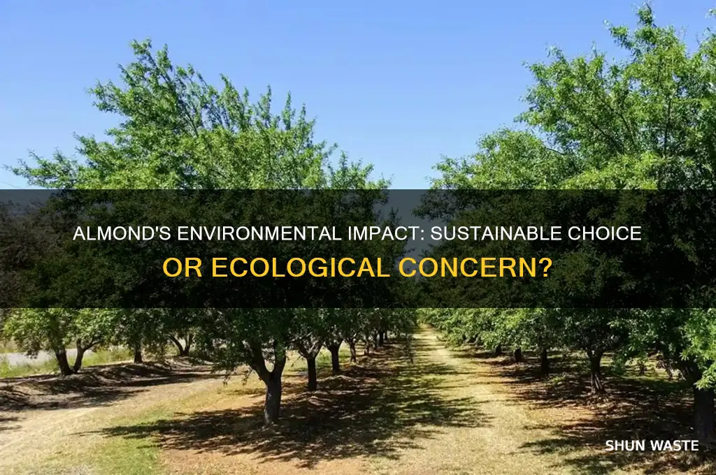 is almond bad for the environment
