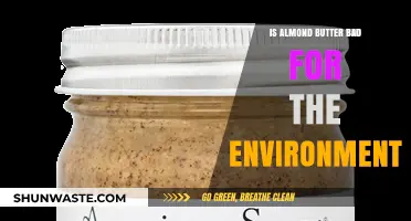 Almond Butter's Environmental Impact: Sustainable Choice or Eco-Friendly Myth?