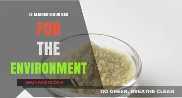 Almond Flour's Environmental Impact: Sustainable Choice or Eco-Friendly Myth?