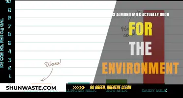Almond Milk's Environmental Impact: Sustainable Choice or Hidden Cost?