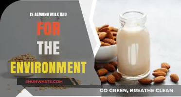 Almond Milk's Environmental Impact: Sustainable Choice or Eco-Friendly Myth?