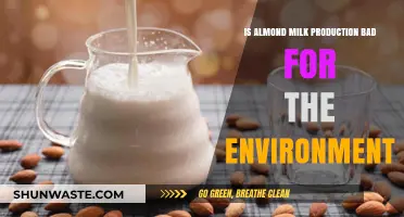 Is Almond Milk Eco-Friendly? Uncovering Its Environmental Impact