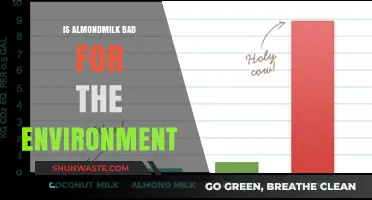 Almond Milk's Environmental Impact: Sustainable Choice or Eco-Friendly Myth?