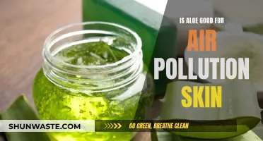 Aloe Vera: A Natural Remedy for Air Pollution Skin Damage