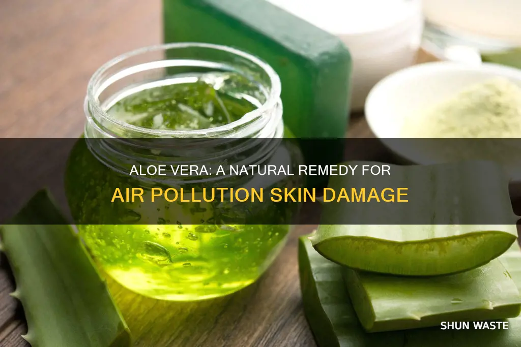 is aloe good for air pollution skin