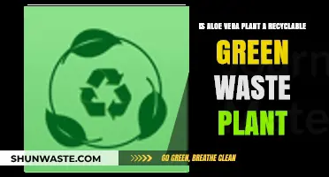 Aloe Vera: A Recyclable Green Waste Solution for Eco-Friendly Living
