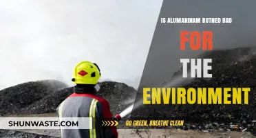 Is Burning Aluminum Harmful to the Environment? Facts and Impacts