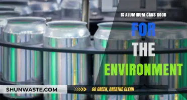 Aluminum Cans: Eco-Friendly Choice or Environmental Concern?