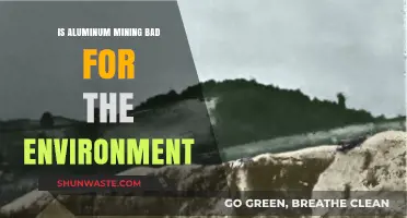 Aluminum Mining's Environmental Impact: Sustainable Practices or Ecological Threat?