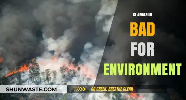 Amazon's Environmental Impact: Unpacking the Ecological Costs of Convenience