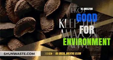 Is Amazon Eco-Friendly? Unpacking Its Environmental Impact and Sustainability Efforts