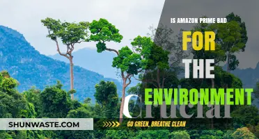Amazon Prime's Environmental Impact: Sustainable or Harmful for Our Planet?