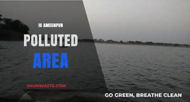 Ameenpur's Pollution Problem: A Comprehensive Overview