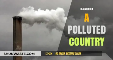 The Polluted Reality of America's Environment