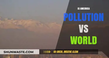 Pollution in America: How Does It Compare Globally?
