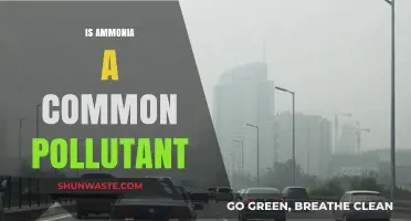 Ammonia Pollution: A Common and Dangerous Threat