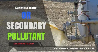 Ammonia Pollution: Primary or Secondary?