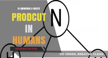 Is Ammonia a Waste Product in Humans? Exploring Its Role and Impact